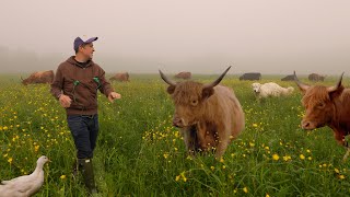 Day in the Life of a Small Farm [upl. by Norad]