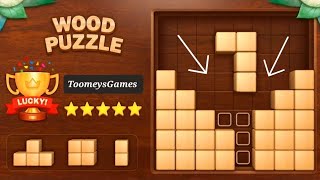 Wood Block Puzzle 3D  Block Puzzle Game [upl. by Zanze]