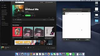 DRmare music Converter for spotify Review [upl. by Corbett]