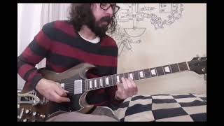 Echidnas Arf of you  Frank Zappa guitar cover [upl. by Anailli513]