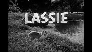 Lassie  1st IntroampOutro 1954 [upl. by Mueller]