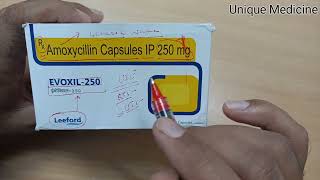 Amoxicillin Capsule IP 250 mg । Evoxil 250 Capsule । Use Dose Benefits and Side Effects [upl. by Dnaltiak738]