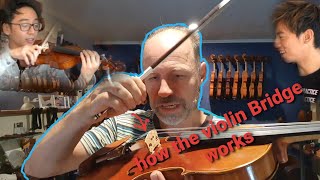 Ask Olaf  How the violin bridge really works [upl. by Lehman]