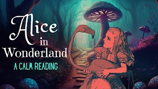 Reading of Alice in Wonderland  full audiobook  Story Reading for Sleep  Relaxing Reading [upl. by Akenet61]