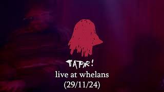 tapir live at whelans 291124 [upl. by Nhar666]