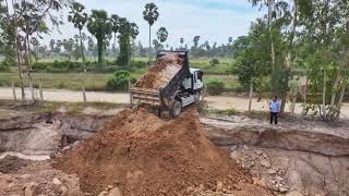 Incredible Dump Truck Showing Skill Technique Loading Soil To Filling Pond With Mini Bulldozer [upl. by Rafaelita]