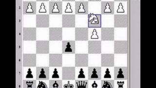 Chess Lesson Basic Opening Principles [upl. by Aikemit]