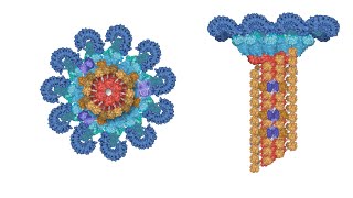 What is an inflammasome [upl. by Vudimir]