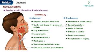 Stridor 🗣️ 🔊  ENT Lectures [upl. by Neleh]