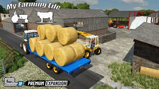 Clearing fields amp Tire kicking  MY FARMING LIFE on The Northern Farms  Farming Simulator 22  5 [upl. by Baryram]