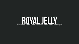 Butterfingers  Royal Jelly instrumental cover [upl. by Prosperus559]