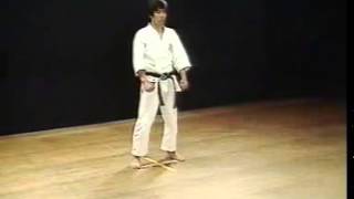 Heian Sandan  Shotokan SKIF  Hirokazu Kanazawa [upl. by Attenej]