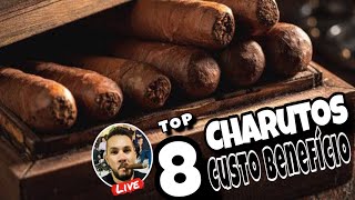 TOP 8 CHARUTOS COM MELHORES CUSTO BENEFÍCIO [upl. by Gredel]