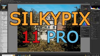 Program do edycji zdjęć Silkypix Developer Studio Pro 11  nowe funkcje cz 1 [upl. by Albin464]