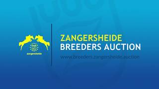 Call Me Devil Z  Zangersheide Breeders Auction [upl. by Nahsar392]