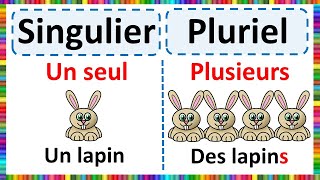 Grammaire  Apprendre le Singulier et le Pluriel [upl. by Ibrad925]