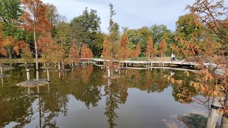 Jardin Botanique de Meise 29 Octobre 2022 [upl. by Nagaem885]