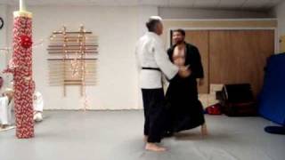 Niagara Falls Skit Martial Arts Style [upl. by Alberic]