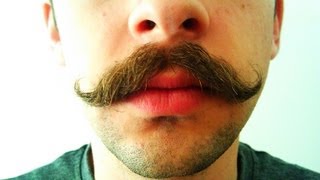 Mustache Growth Time Lapse [upl. by Havot]