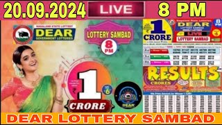 Lottery live Dear Lottery sambad Live result 8pm today 20092024 nagaland Lottery Live [upl. by Ilsel138]