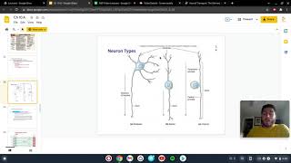 CH10 13 Axonal Transport in Neurons [upl. by Irollam]