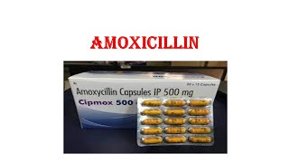 Amoxicillin 500mg Capsule Uses Dosage Contraindications And Precautions IP [upl. by Lithea]