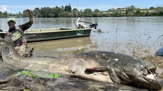 A New WORLD RECORD for The Largest WELS CATFISH Ever Caught Set by Italian Angler May 31st 2023 [upl. by Ekusoyr808]