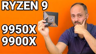 AMD RYZEN 9 9950X  9900X REVIEW More disappointment [upl. by Turtle]