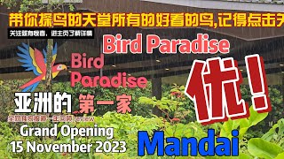 Review Trip to Mandai Bird Paradise 回顾 万礼鸟类天堂之旅 9月15日 [upl. by Ariek43]