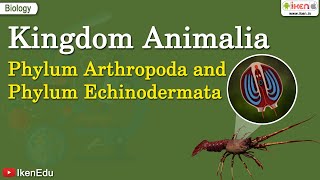 Kingdom Animalia Phylum Arthropoda and Phylum Echinodermata  iKen  iKen App  iKen Edu [upl. by Fons]