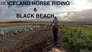 🇮🇸Iceland Road Trip  Part 3 Black Beach and Horse Riding [upl. by Reichel]