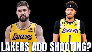 Lakers Shooting Options On Buyout Market [upl. by Etteuqram]