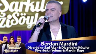 Berdan Mardini  Diyarbakır Şad Akar amp Diyarbakır Küçeleri amp Diyarbakır Yoluna amp Mardin Kapı [upl. by Naujet407]