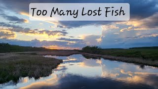 Too Many Lost Fish [upl. by Astrix]