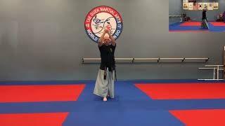 Haidong Gumdo Basic Movement [upl. by Caiaphas714]