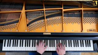 Minutenwalzer FChopin Op64 Nr1 [upl. by Canfield269]