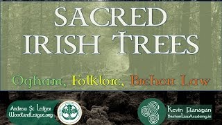 Sacred Irish Trees Ogham Folklore Brehon Law [upl. by Norym]