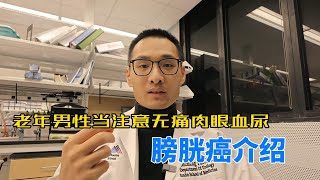 「膀胱癌」老年男性应该注意无痛肉眼血尿——膀胱癌特点介绍 [upl. by Ahsinev]