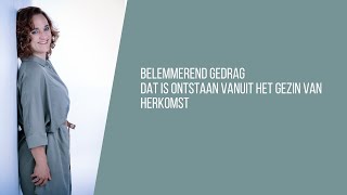 Belemmerend gedrag ontstaan in je gezin van herkomst [upl. by Wash610]