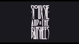 Siouxsie And The Banshees  Live in Paris 1979 Full Concert [upl. by Jezreel548]