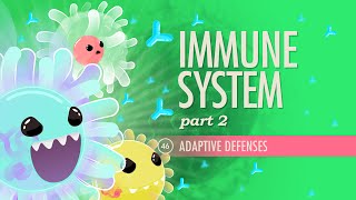 Immune System Part 2 Crash Course Anatomy amp Physiology 46 [upl. by Ambrosane]