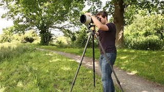 Tripod Buying Guide [upl. by Akkim]