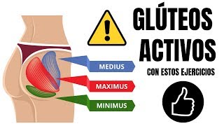 Amnesia Glútea Evítala y ACTIVA tus GLÚTEOS con estos ejercicios 🍑 [upl. by Irehc]