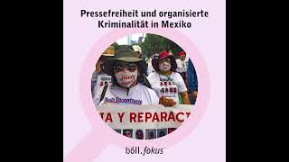 Pressefreiheit und Organisierte Kriminalität in Mexiko [upl. by Assereht]