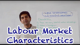 Characteristics of a Perfectly Competitive Labour Market [upl. by Leirad159]