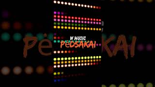 W Music  Pėdsakai Fragmentas muzika song [upl. by Aneret]