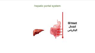 الجهاز الوريدي  فسيولوجي انتومي Portal Venous Systems Hepatic Portal System [upl. by Yee329]