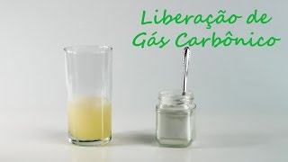 Experimento  E010 Liberação de Gás Carbônico [upl. by Edgardo]