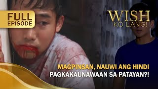 Magpinsan nauwi ang hindi pagkakaunawaan sa patayan Full Episode  Wish Ko Lang [upl. by Myrle]