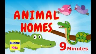 Learn About Different Animal Names And Homes  Animal Names And Homes For Kids [upl. by Adal]